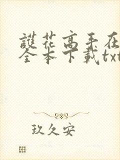 护花高手在都市全本下载txt