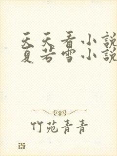 天天看小说叶辰夏若雪小说免费阅读最新章节