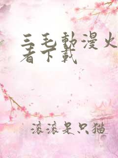 三毛动漫火影忍者下载