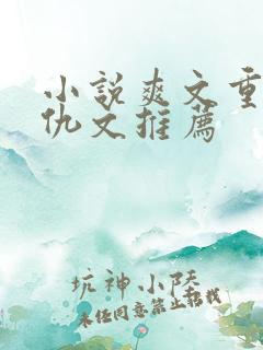 小说爽文重生复仇文推荐