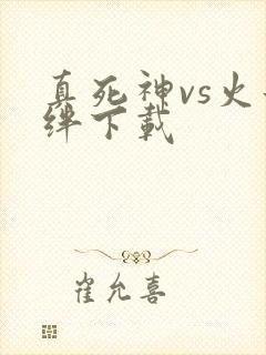 真死神vs火影绊下载