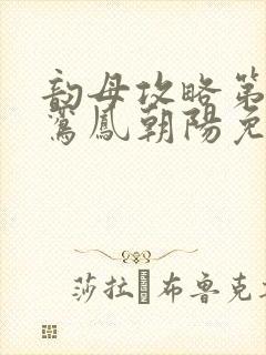 韵母攻略第二部鸾凤朝阳免费阅读