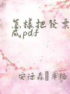 怎样把发票转换成pdf