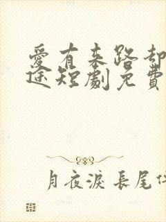 爱有来路却无归途短剧免费观看