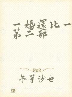 一婚还比一婚高第二部
