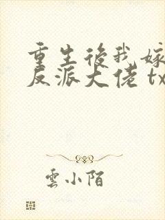 重生后我嫁给了反派大佬 txt