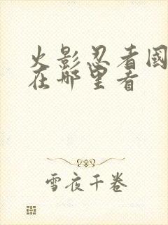 火影忍者国语版在哪里看