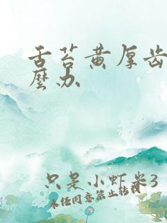 舌苔黄厚齿痕怎么办