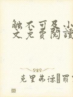 触不可及小说全文免费阅读