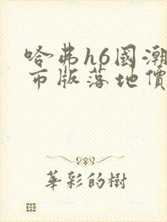 哈弗h6国潮都市版落地价是多少钱