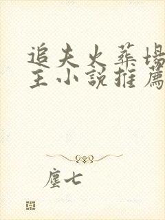 追夫火葬场双男主小说推荐