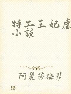 特工王妃虐渣记小说