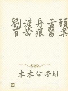 刘渡舟舌头胖大有齿痕医案