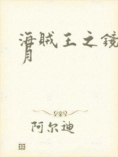 海贼王之镜花水月