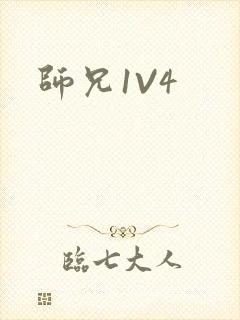 师兄1V4