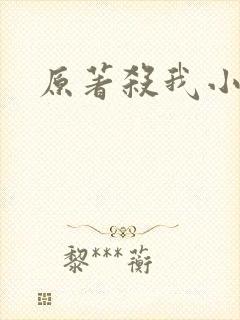 原著杀我小说