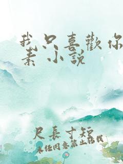 我只喜欢你信息素 小说