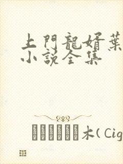 上门龙婿叶辰的小说全集