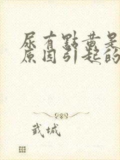 尿有点黄是什么原因引起的