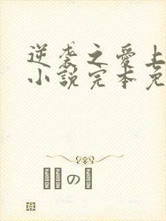 逆袭之爱上情敌小说完本免费阅读