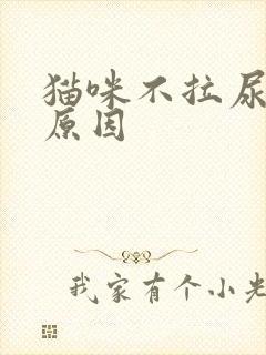 猫咪不拉尿什么原因