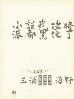 小说我攻略的反派都黑化了最新章节