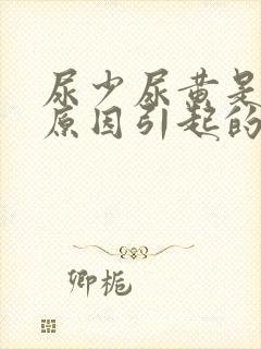 尿少尿黄是什么原因引起的