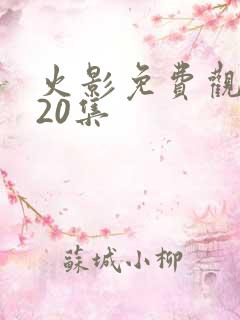 火影免费观看720集