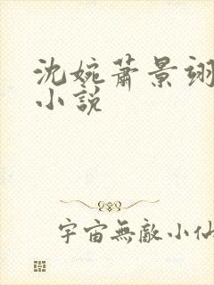 沈婉萧景翊全文小说