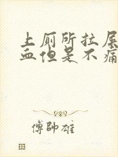 上厕所拉屎拉出血但是不痛