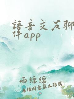 语音交友聊天软件app