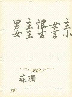 男主恨女主报复女主古言小说