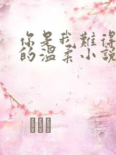 你是我难得一见的温柔小说免费阅读