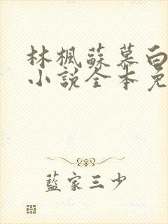 林枫苏慕白穿越小说全本免费阅读