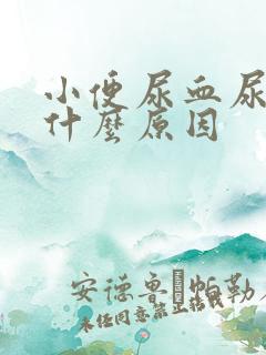 小便尿血尿急是什么原因