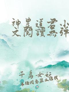 神农道君小说全文阅读无弹窗
