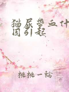 猫尿带血什么原因引起