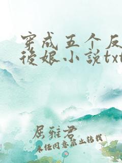 穿成五个反派的后娘小说txt
