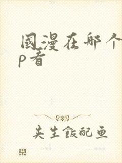 国漫在哪个app看