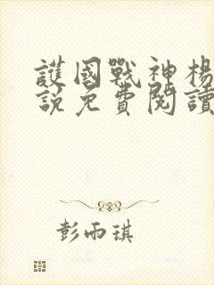 护国战神杨风小说免费阅读