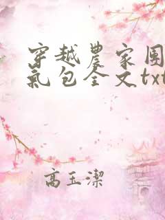 穿越农家团宠福气包全文txt