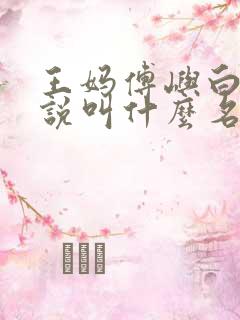 王妈傅屿白的小说叫什么名字