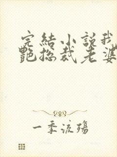 完结小说我的冷艳总裁老婆