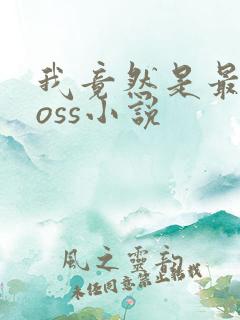 我竟然是最终boss小说