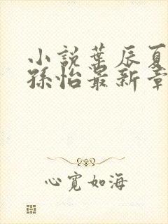 小说叶辰夏若雪孙怡最新章节