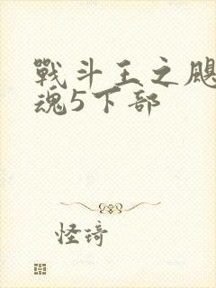 战斗王之飓风战魂5下部