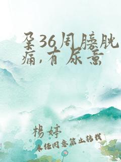 孕36周膀胱刺痛,有尿意