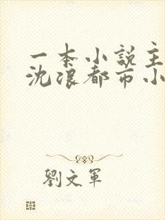 一本小说主角叫沈浪都市小说