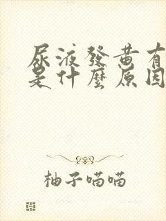 尿液发黄有臭味是什么原因女性