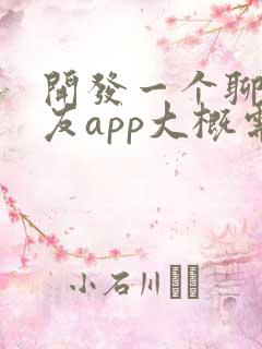 开发一个聊天交友app大概需要多少钱